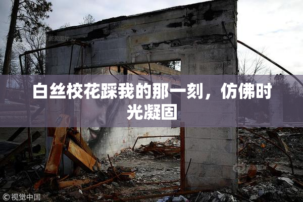 白丝校花踩我的那一刻，仿佛时光凝固