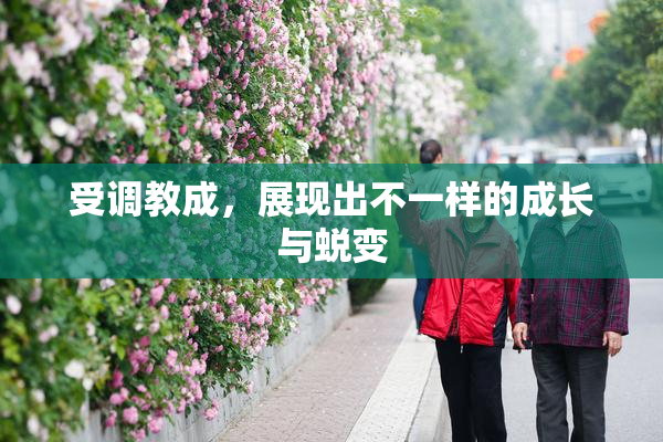 受调教成，展现出不一样的成长与蜕变