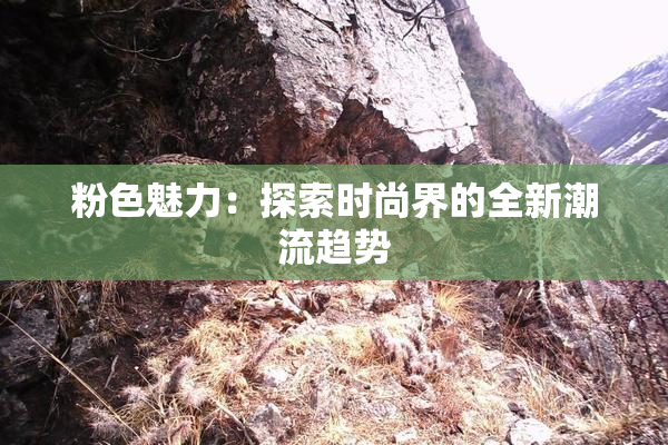 粉色魅力：探索时尚界的全新潮流趋势