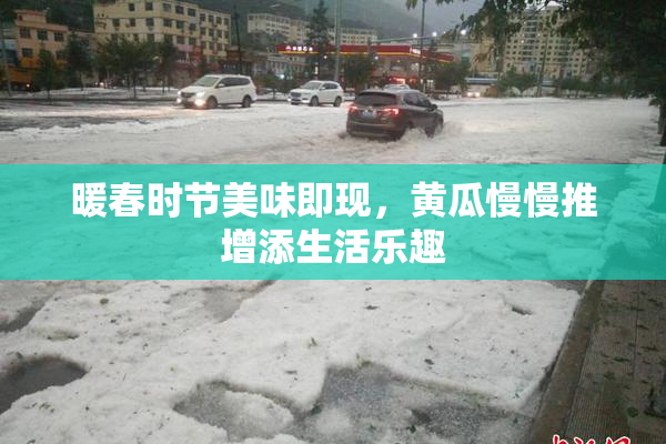 暖春时节美味即现，黄瓜慢慢推增添生活乐趣