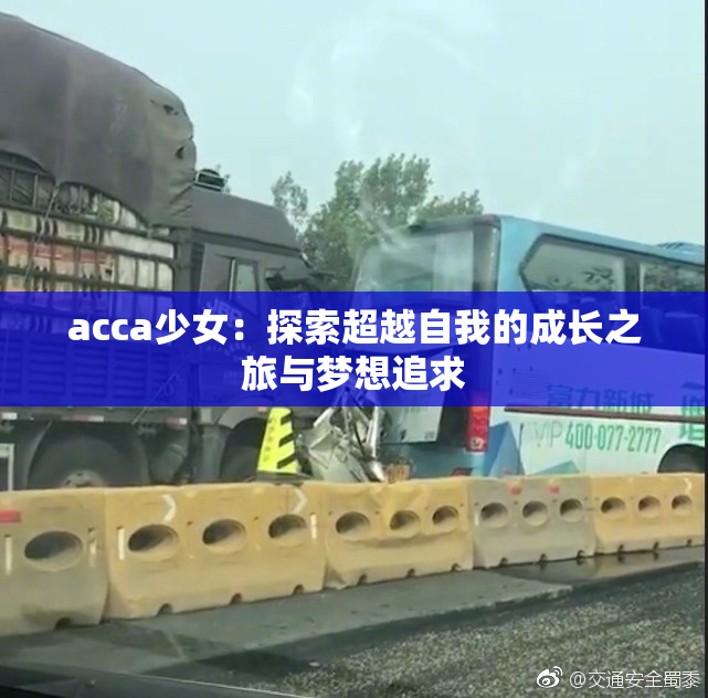 acca少女：探索超越自我的成长之旅与梦想追求