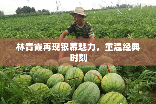 林青霞再现银幕魅力，重温经典时刻