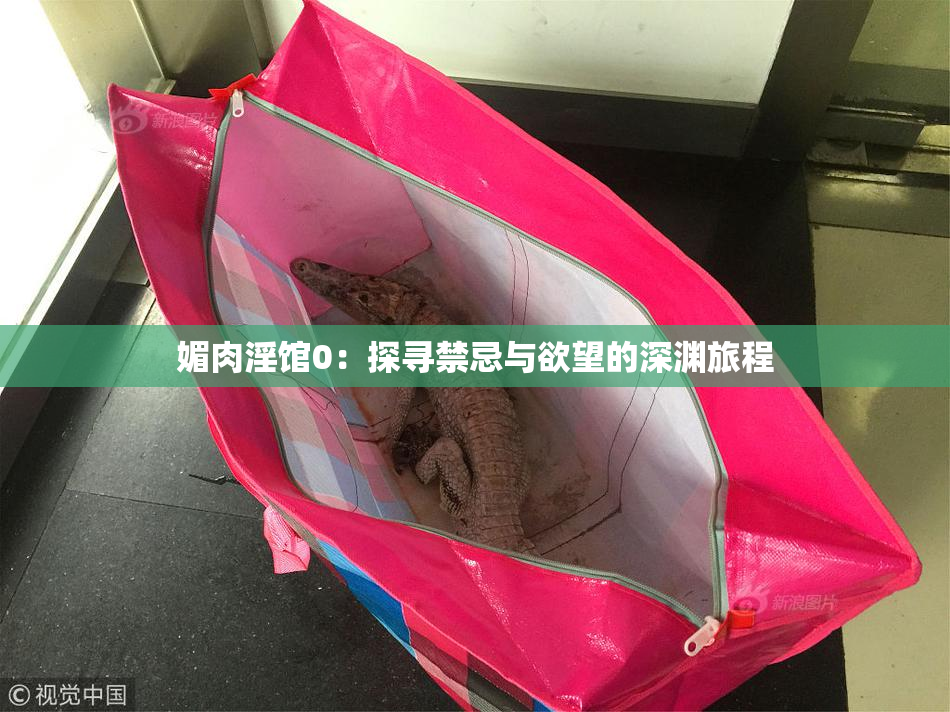 媚肉淫馆0：探寻禁忌与欲望的深渊旅程