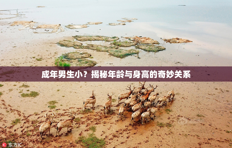 成年男生小？揭秘年龄与身高的奇妙关系