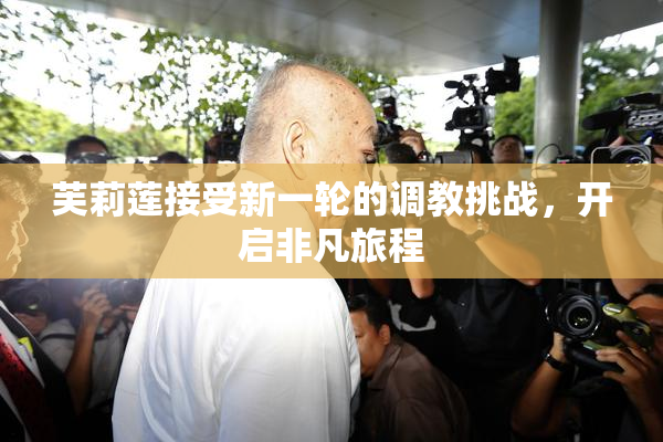 芙莉莲接受新一轮的调教挑战，开启非凡旅程