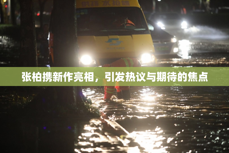 张柏携新作亮相，引发热议与期待的焦点