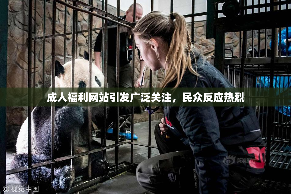 成人福利网站引发广泛关注，民众反应热烈