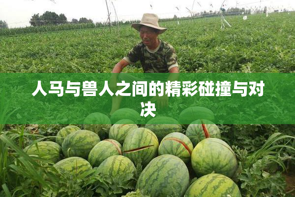 人马与兽人之间的精彩碰撞与对决