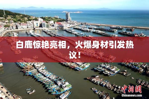 白鹿惊艳亮相，火爆身材引发热议！