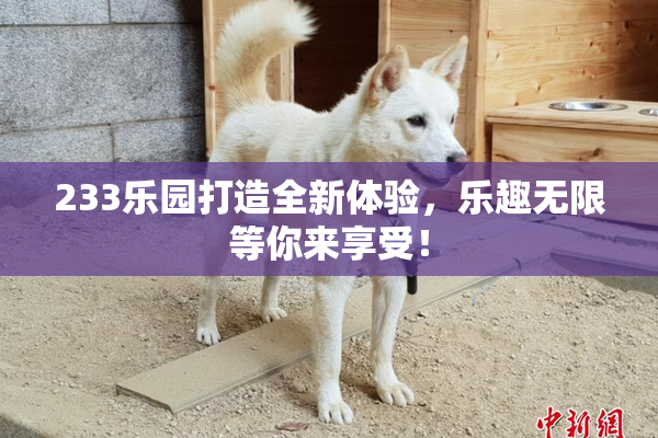233乐园打造全新体验，乐趣无限等你来享受！