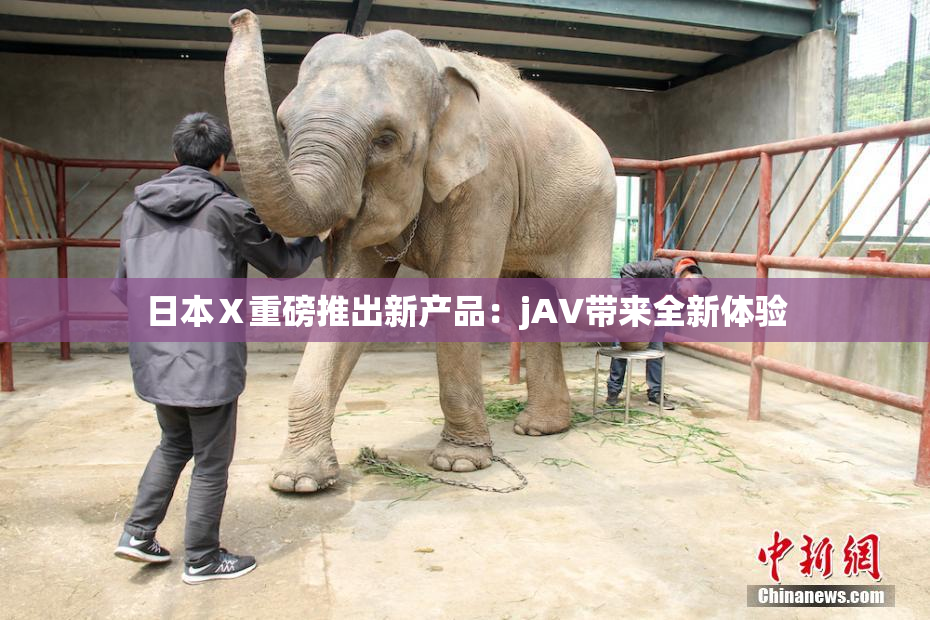 日本Ⅹ重磅推出新产品：jA∨带来全新体验