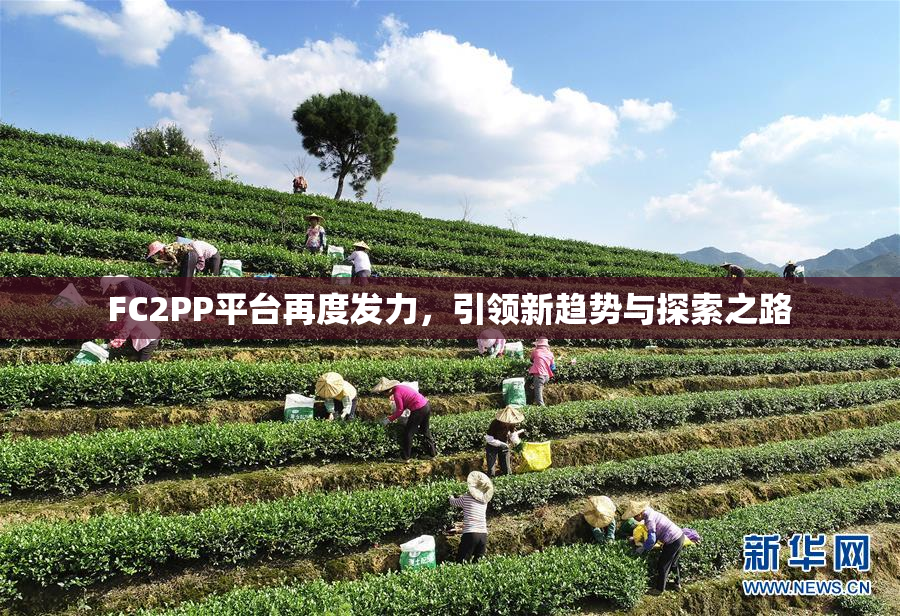 FC2PP平台再度发力，引领新趋势与探索之路