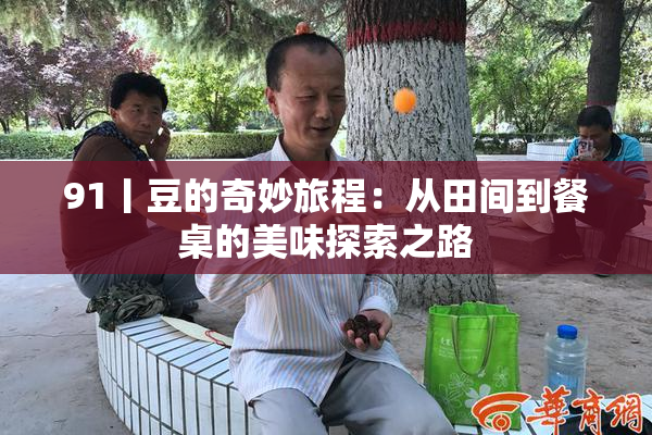 91丨豆的奇妙旅程：从田间到餐桌的美味探索之路