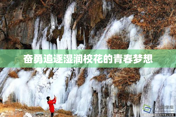 奋勇追逐湿润校花的青春梦想