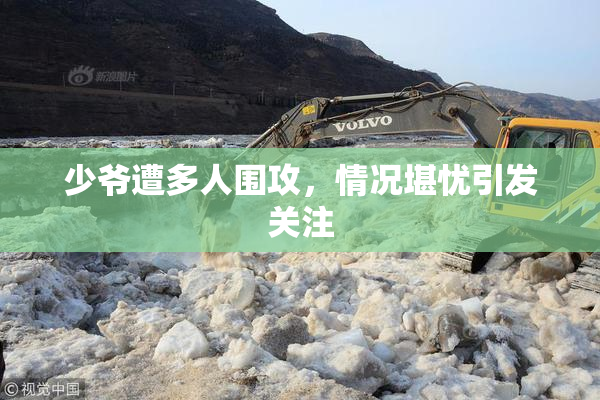 少爷遭多人围攻，情况堪忧引发关注