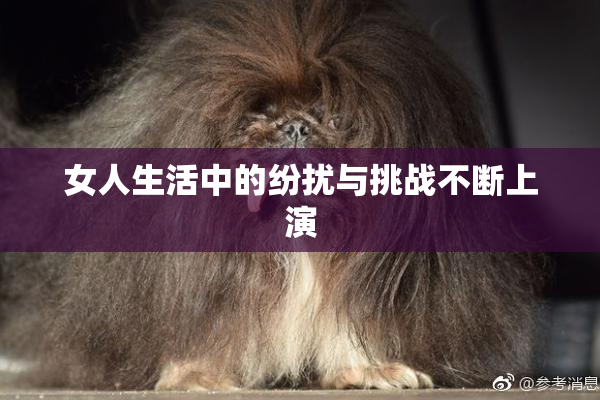 女人生活中的纷扰与挑战不断上演