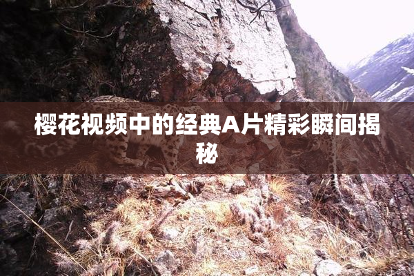 樱花视频中的经典A片精彩瞬间揭秘