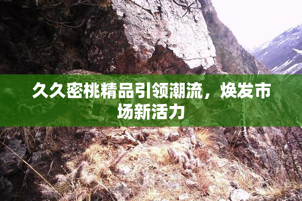 久久密桃精品引领潮流，焕发市场新活力