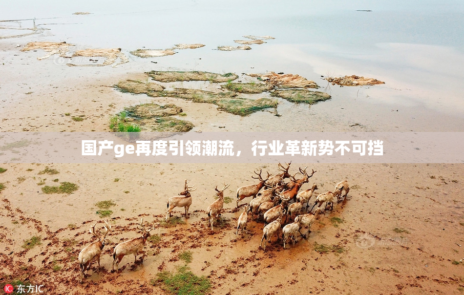 国产ge再度引领潮流，行业革新势不可挡