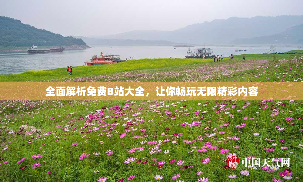 全面解析免费B站大全，让你畅玩无限精彩内容