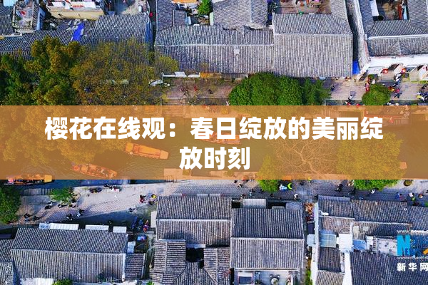 樱花在线观：春日绽放的美丽绽放时刻