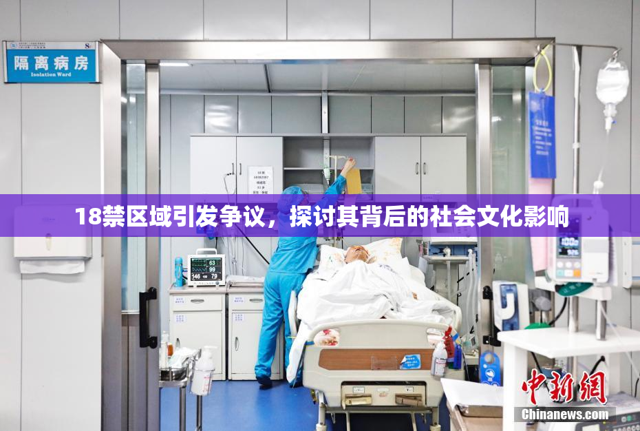 18禁区域引发争议，探讨其背后的社会文化影响