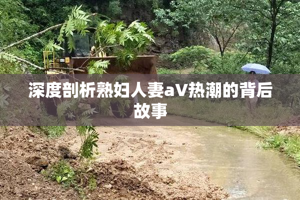 深度剖析熟妇人妻aV热潮的背后故事