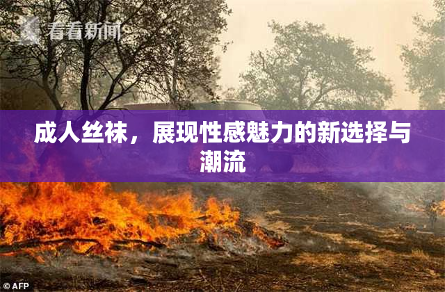 成人丝袜，展现性感魅力的新选择与潮流