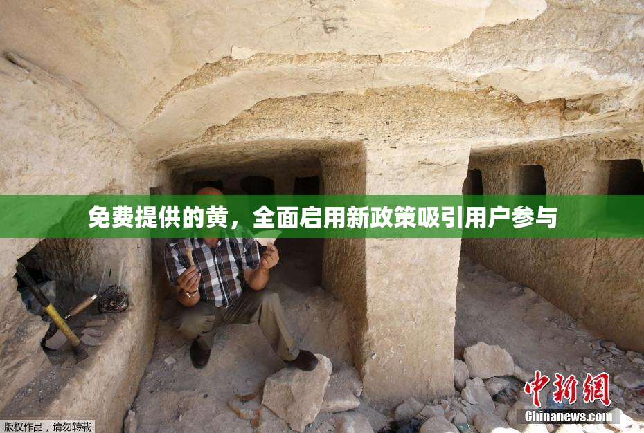 免费提供的黄，全面启用新政策吸引用户参与