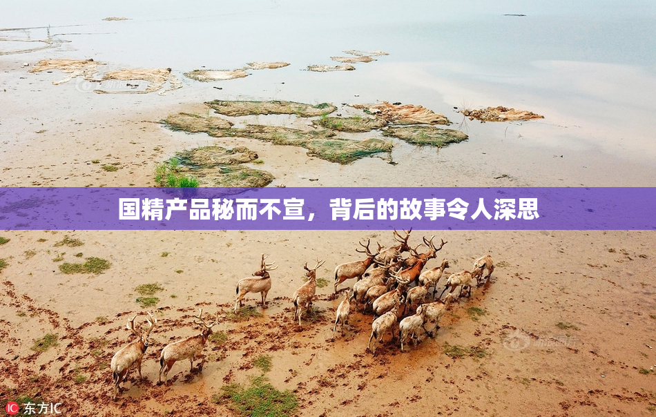 国精产品秘而不宣，背后的故事令人深思