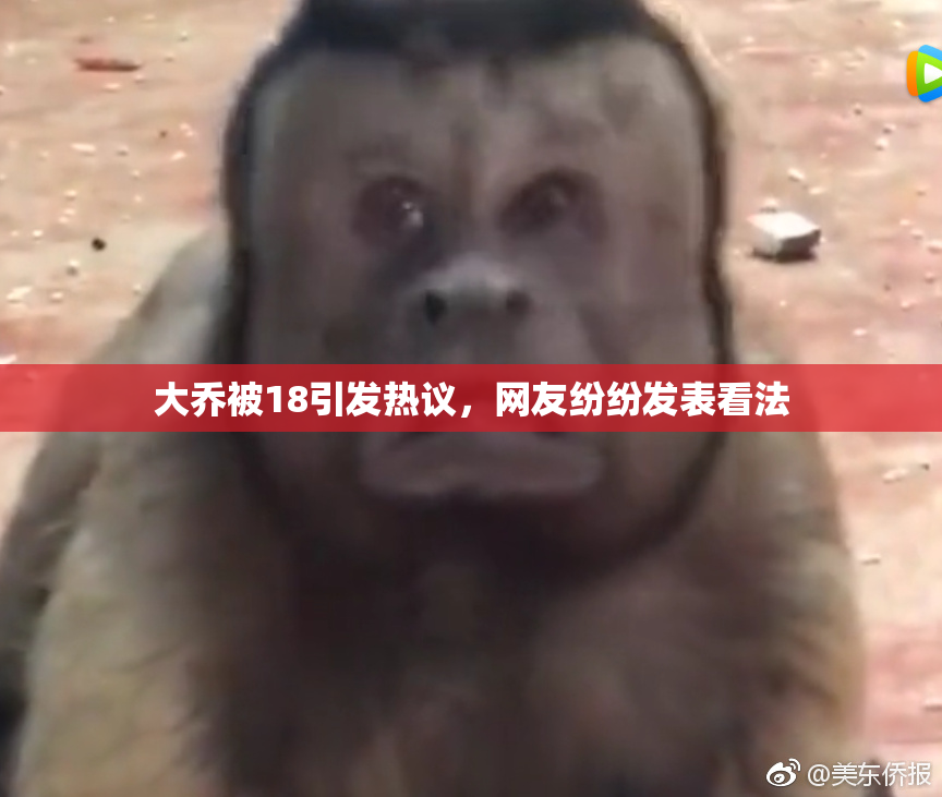 大乔被18引发热议，网友纷纷发表看法