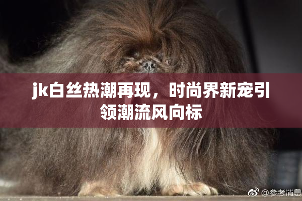 jk白丝热潮再现，时尚界新宠引领潮流风向标