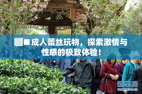▓■成人蕾丝玩物，探索激情与性感的极致体验！