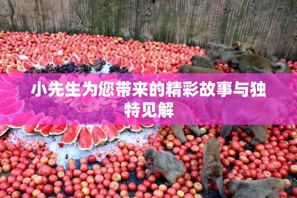 小先生为您带来的精彩故事与独特见解