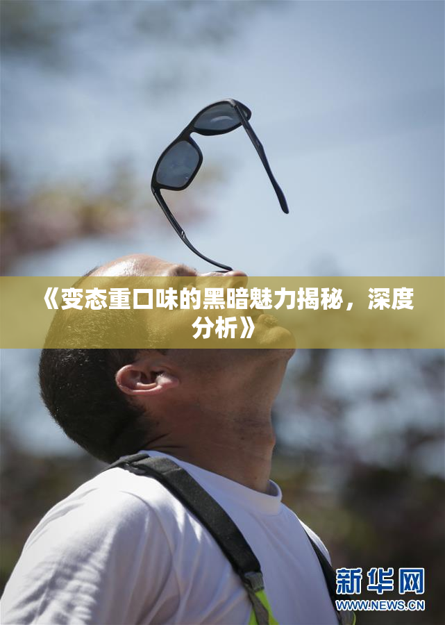 《变态重口味的黑暗魅力揭秘，深度分析》