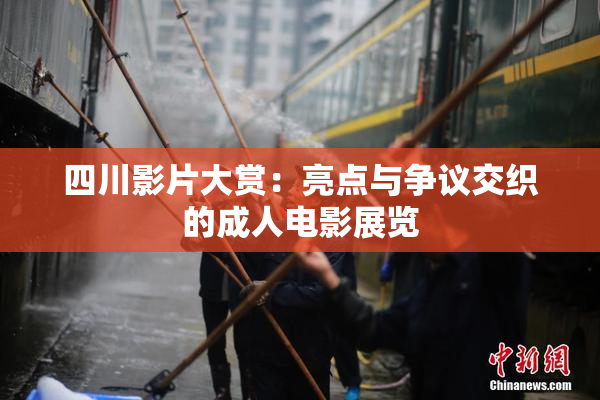 四川影片大赏：亮点与争议交织的成人电影展览