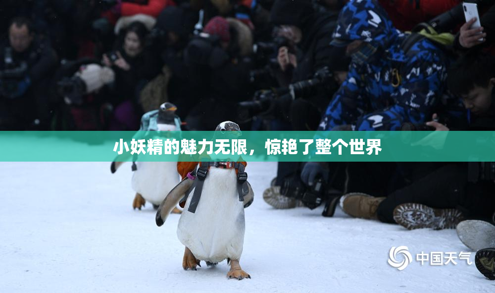 小妖精的魅力无限，惊艳了整个世界