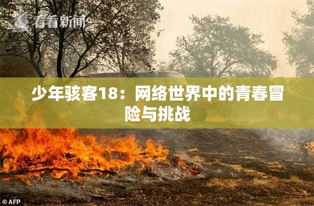 少年骇客18：网络世界中的青春冒险与挑战