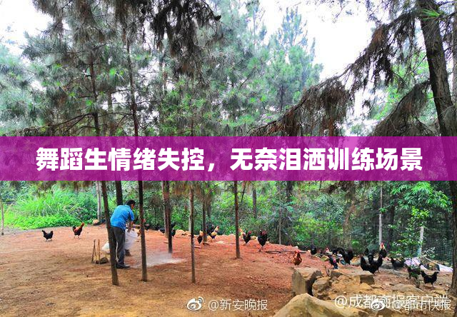 舞蹈生情绪失控，无奈泪洒训练场景