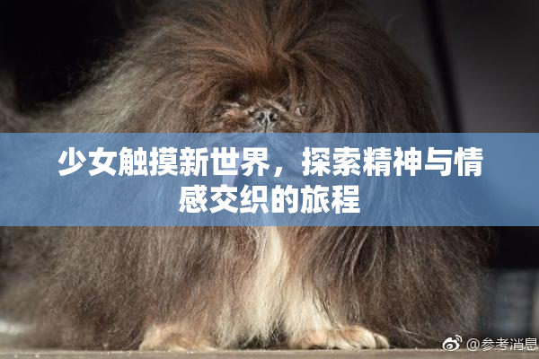 少女触摸新世界，探索精神与情感交织的旅程