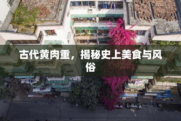 古代黄肉重，揭秘史上美食与风俗