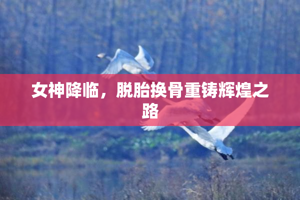 女神降临，脱胎换骨重铸辉煌之路