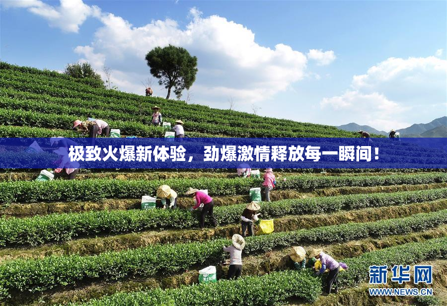 极致火爆新体验，劲爆激情释放每一瞬间！