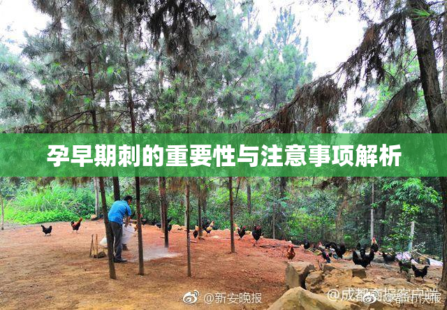 孕早期刺的重要性与注意事项解析