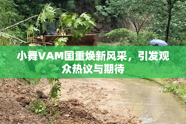 小舞VAM国重焕新风采，引发观众热议与期待