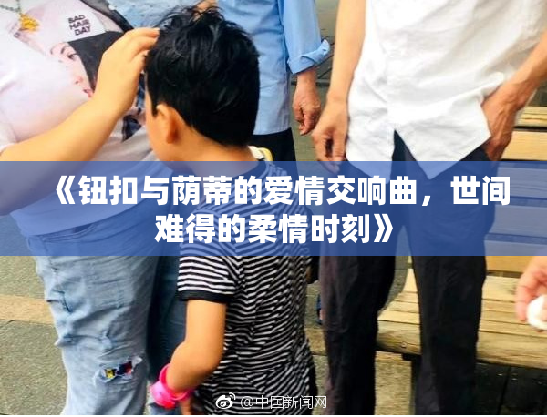《钮扣与荫蒂的爱情交响曲，世间难得的柔情时刻》