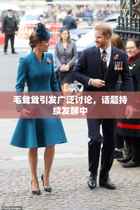 毛耸耸引发广泛讨论，话题持续发酵中
