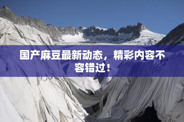 国产麻豆最新动态，精彩内容不容错过！