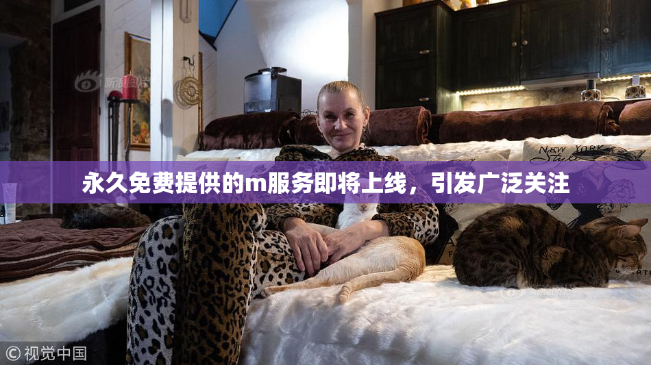 永久免费提供的m服务即将上线，引发广泛关注
