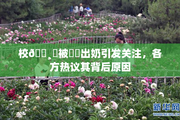 校🌸‌被❌‌出奶引发关注，各方热议其背后原因